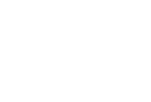 raf-logo-white